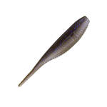Electric Shad
