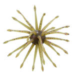 GREEN PUMPKIN PURPLE COPPER