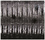 Smoke With Large Black