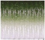 Watermelon And White Laminate