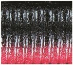 Red Shad