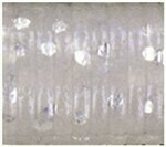 Blue Pearl with Large Silver