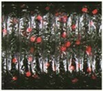 Watermelon with Large Black, Small Red