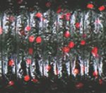 Watermelon With Black & Red Flake
