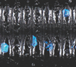 Black with Large Blue Flakes