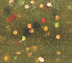 Crushed Goby