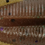 Green Pumpkin Amber Laminate