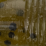 Green Pumpkin with Black Flakes