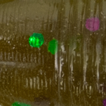 Green Pumpkin with Purple and Green