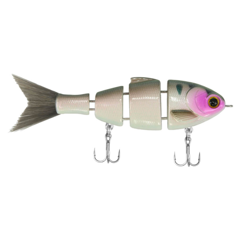 Image of Lil Baby Bull Shad