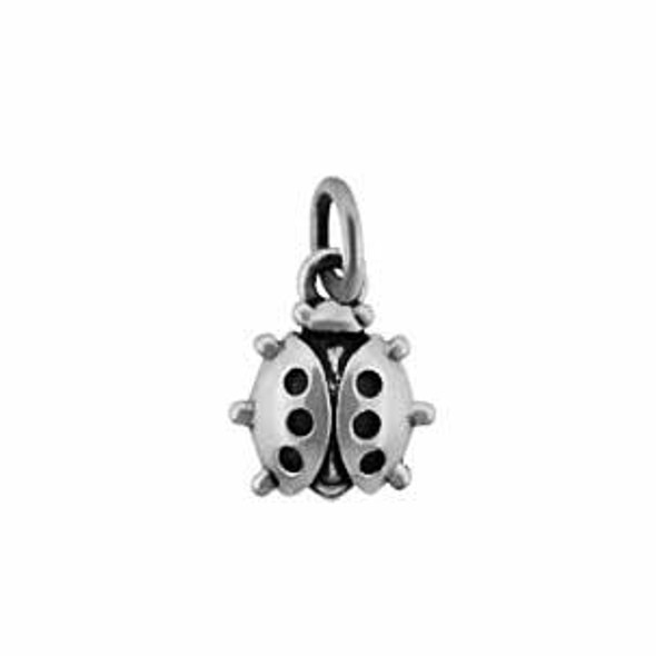 Ladybug Charm in sterling silver shown on white