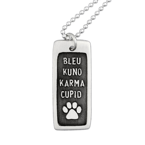 Custom silver Etched Paw Family Necklace, personalized with 4 pet names & paw print image, shown close up on white