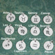 Silver Classic Zodiac Sign Charms, in all the zodiac signs, shown on green