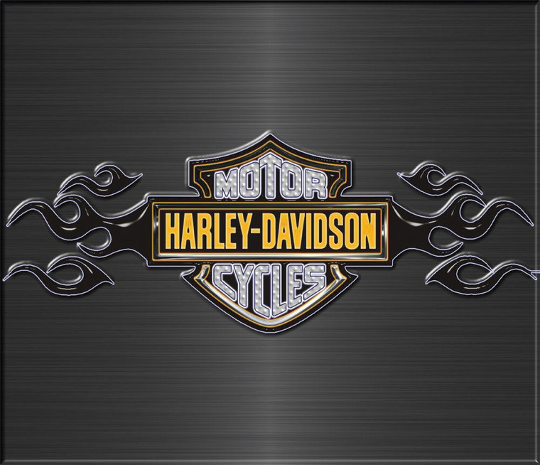 Harley on Brushed Metal