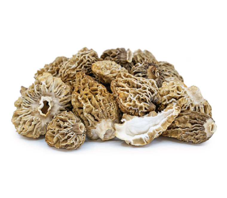 Morel Mushrooms 3