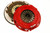 RST: Steel Flywheel: Ford 2011-17 5.0L 8 Bolt Crank: 1 x 23M: 164T - 6435825