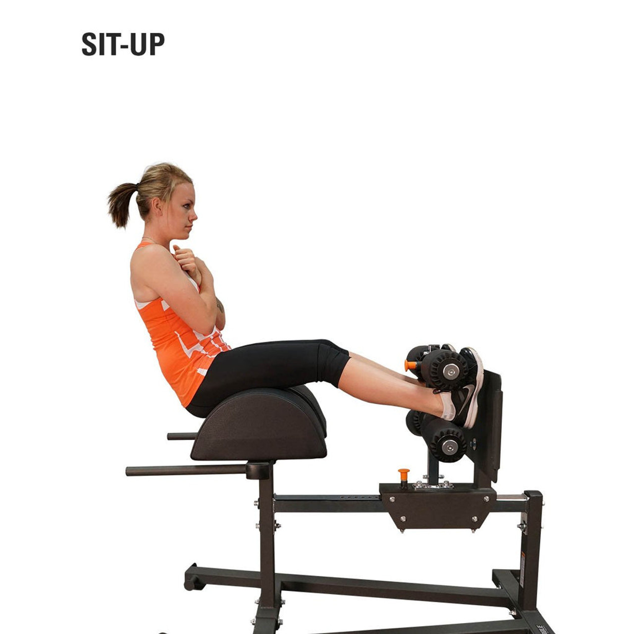 Torque Glute Ham Developer The Fitness Outlet