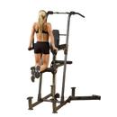 Body-Solid F600 Fusion 600 Personal Trainer Gym with Optional FCDWA FUSION Weight-Assisted Dip & Pull-Up Station