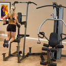 Body-Solid F600 Fusion 600 Personal Trainer Gym with Optional FCDWA FUSION Weight-Assisted Dip & Pull-Up Station