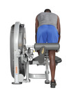 Hoist CL-3408 Standing / Prone Leg Curl