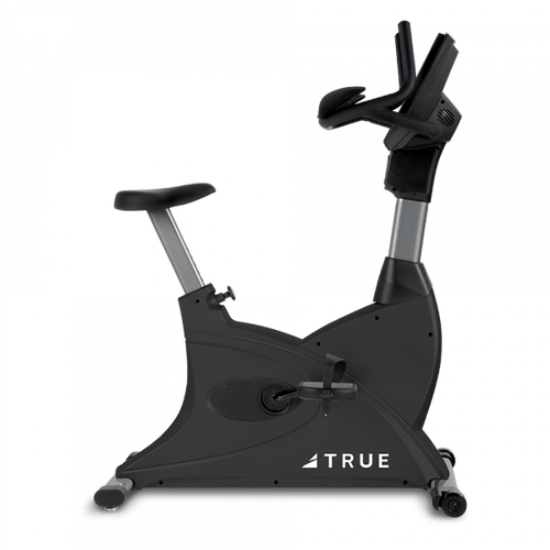 True Fitness 200 Commercial Upright Bike