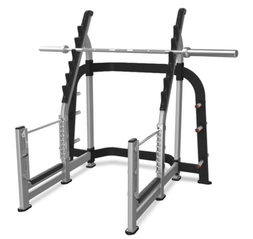 Nautilus Olympic Squat Rack