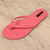 AD-BEAGLE2 PINK