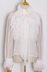 Ruffled Organza Blouse