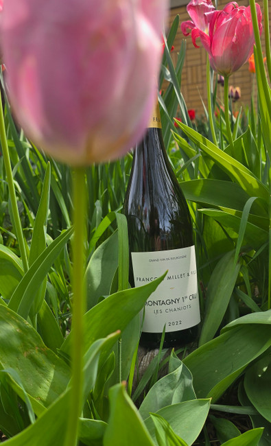 Millet Bourgogne Hautes Cotes de Beaune Blanc (2022)