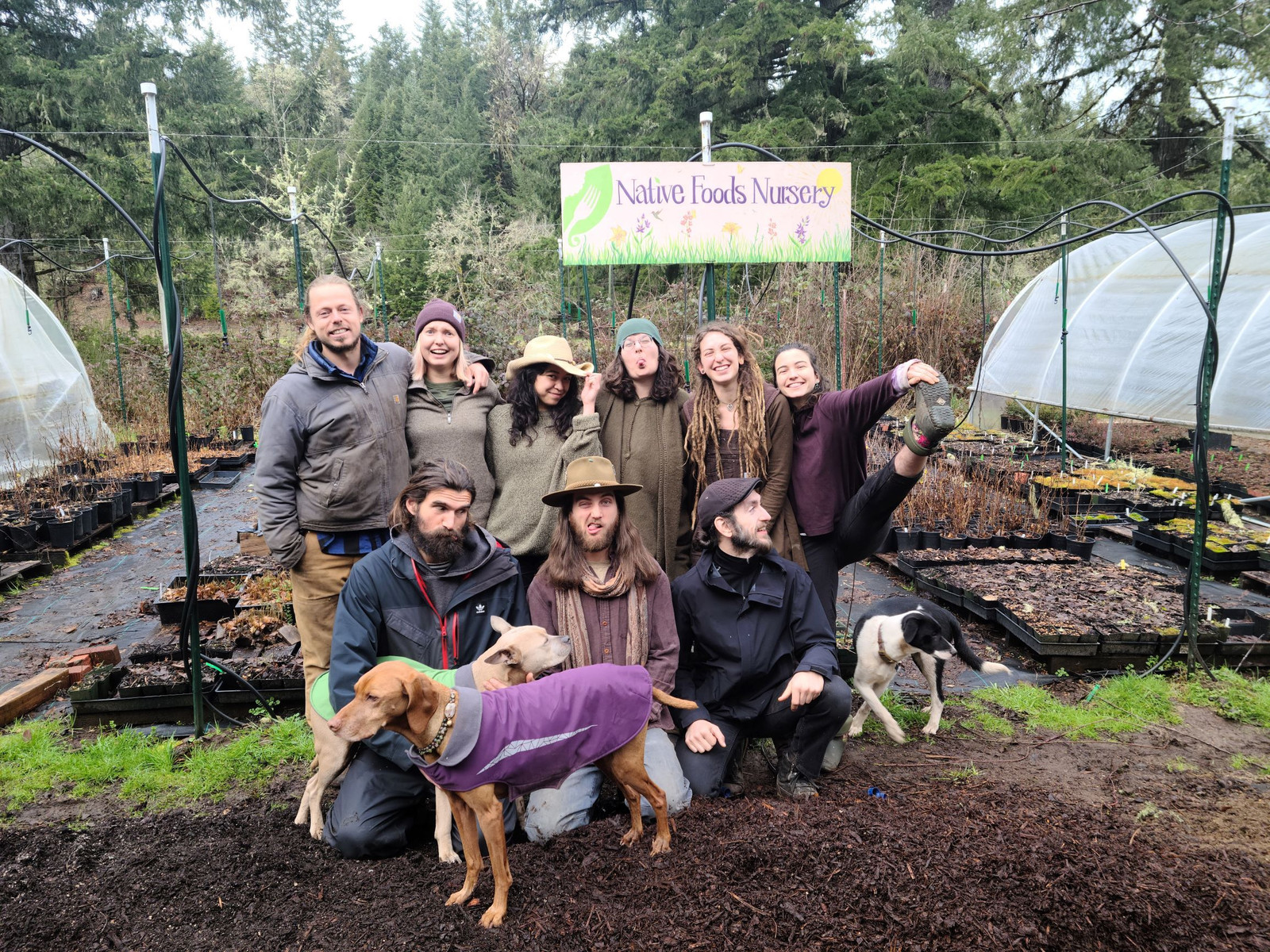 Native foods nursery