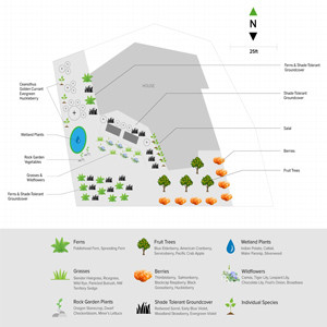 Landscape Design Consultation: 1 hour