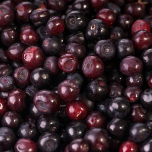 Black Huckleberry