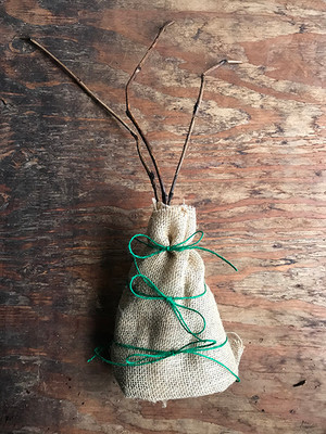 Example of a bare-root bundle of 3 plants