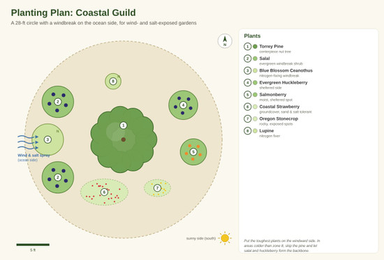 Coastal Guild Planting Plan