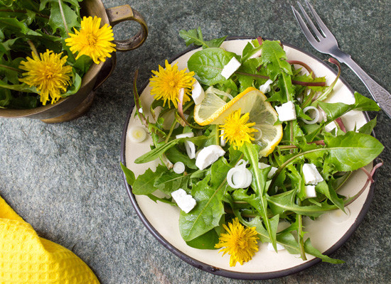 Wild Greens Guild Main Product Image
