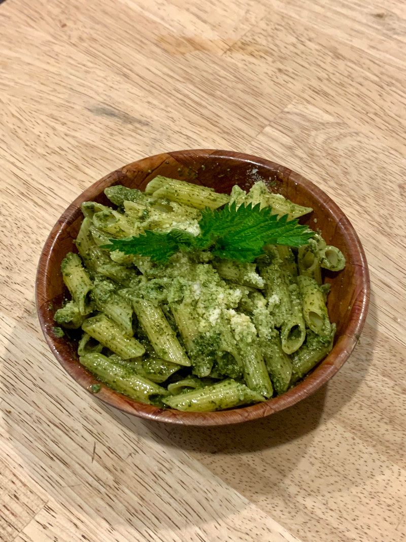 Stinging Nettle Pesto