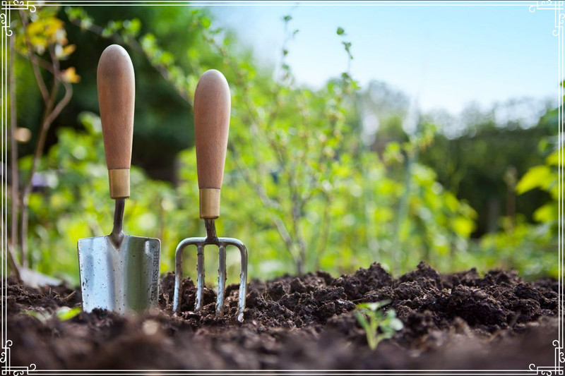 Spring Gardening Basics