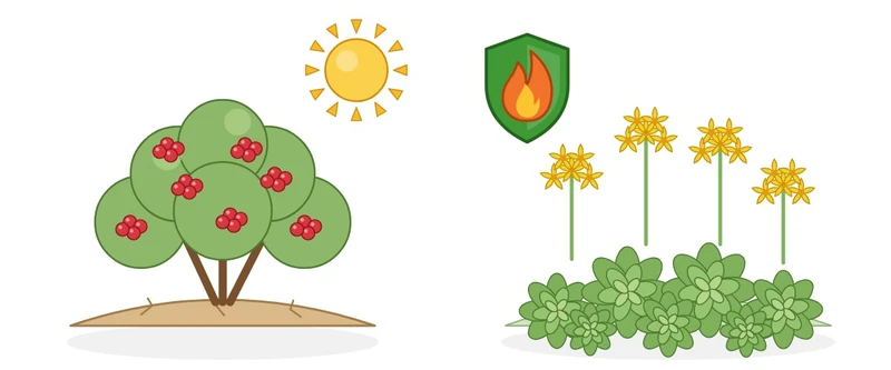 New: Climate Ready + Fire Smart Collections