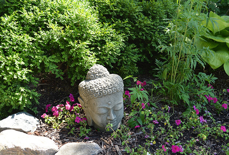 Mindful Gardening