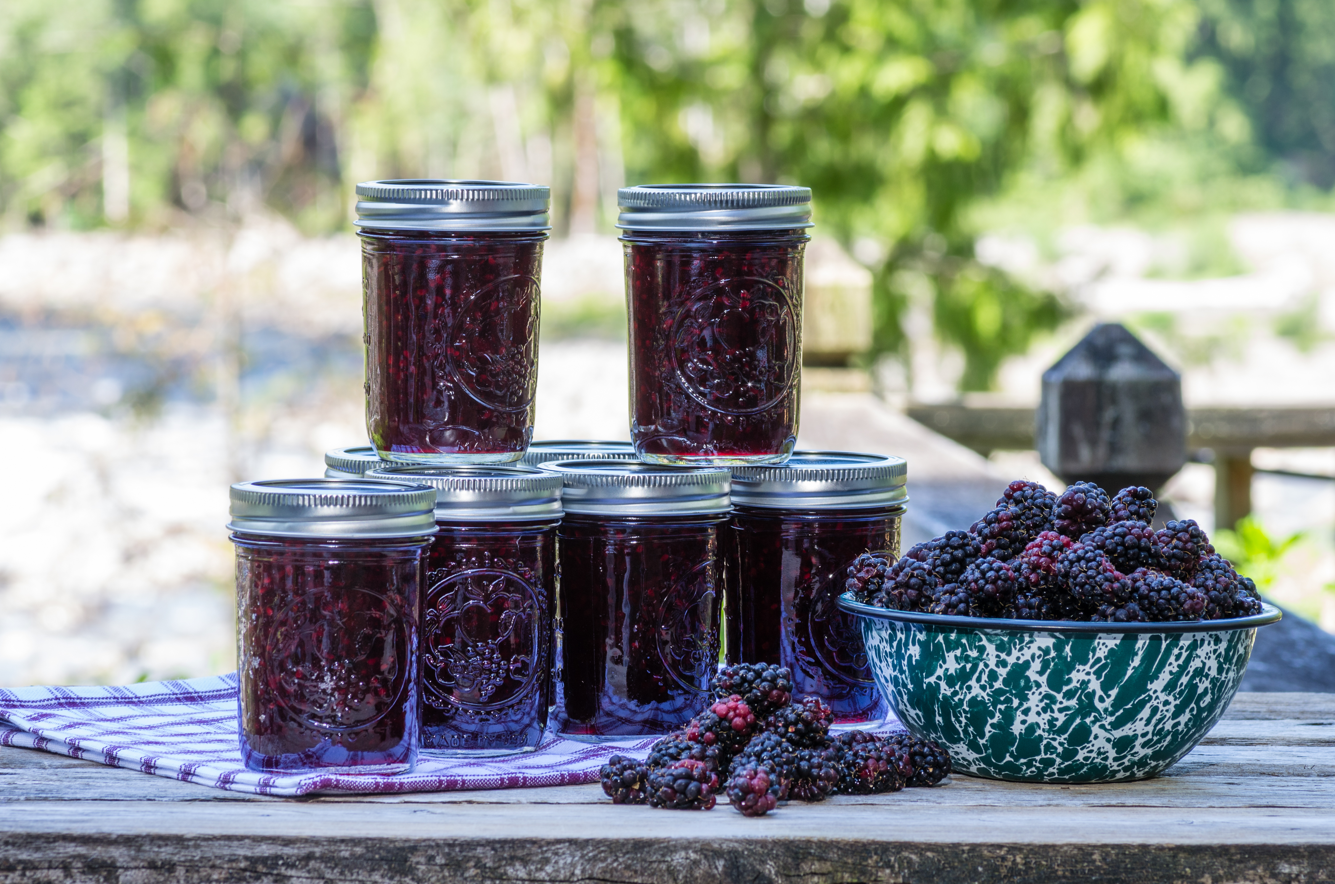 Marionberry