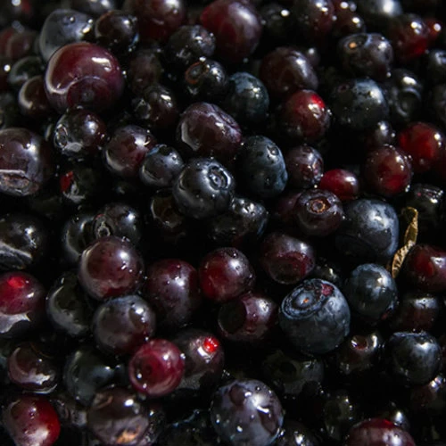 https://www.flickr.com/photos/roosterfarm/757701573/in/photolist-2bX2hr-29Xqhe-4AerK-cn4YFh-fEJxBv-fVi4qM-9GWByz-71K2CW-hwecb-4AeAA-dnPrh-apJv7J-aaPkMh-6nah8-73GEFz-6W7qg4-a9VviT-669nHh-5dF6Be-29Xqqx-29XqeR-6UKk95-npbDA-8FdGE3-8767Sh-6FZcBj-cZqtiW-6UFm6k-6SABse-6UKkEu-dD9sXb-qHRJHZ-71qpA6-vhBhr-9G9DGF-vhBiy-bJGYqZ-9G9EA4-fHRWjo-9YDRpH-aaLxre-vhBkq-cCENpu-6R9wFK-8E1xMt-9YGMgy-4UzGB-ary46E-9G9Egg-9YDRHk