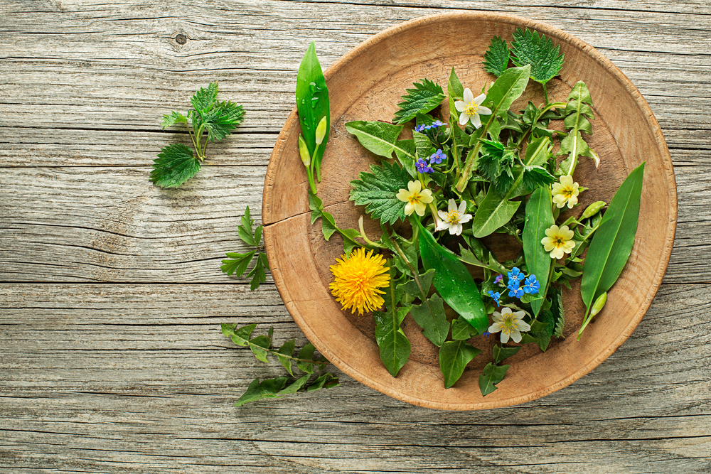 Wild Greens Guild