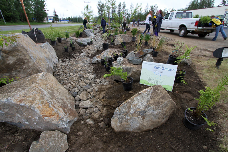 Wetland Garden/Rain Garden Guild