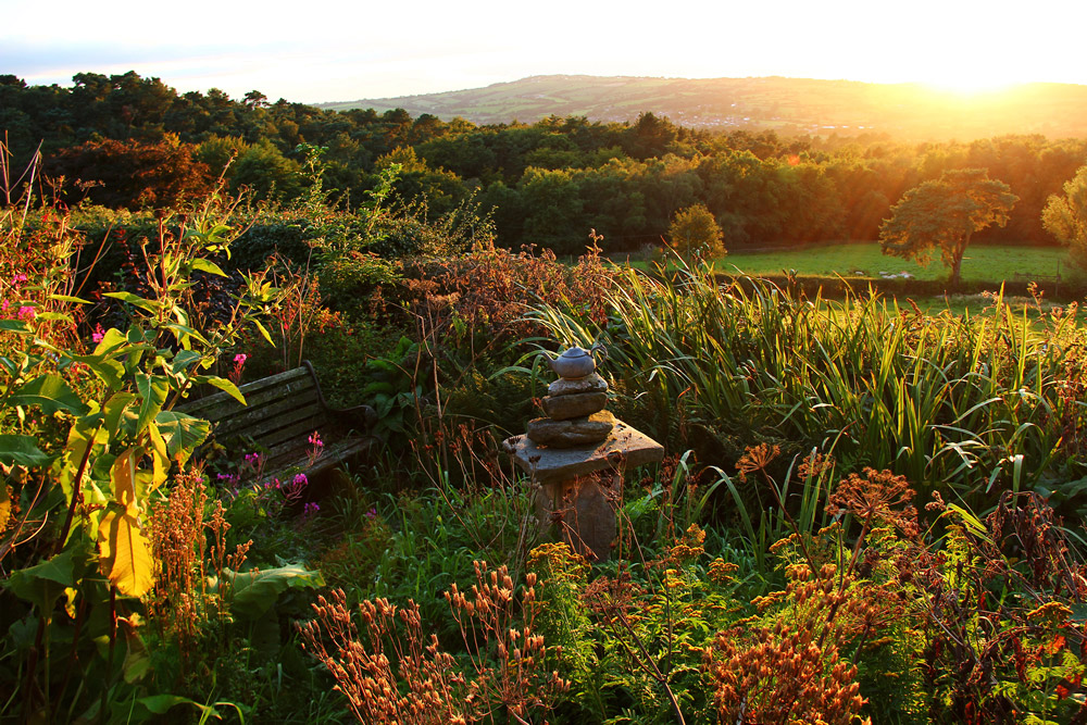 beautiful backyard garden fountain sunset