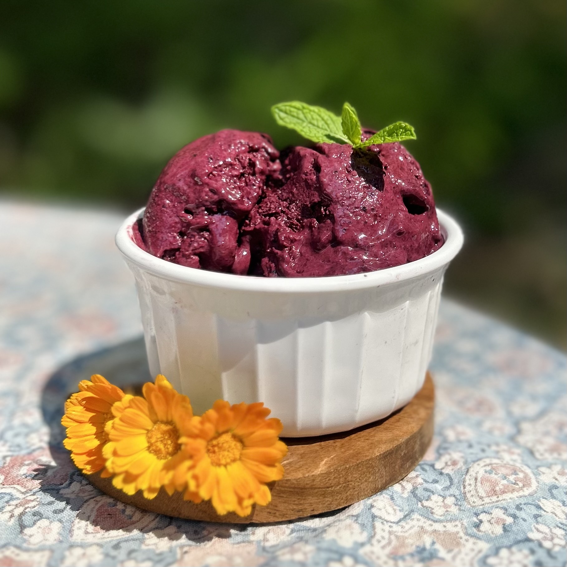 Honeyberry Ice Cream Native Foods Nursery