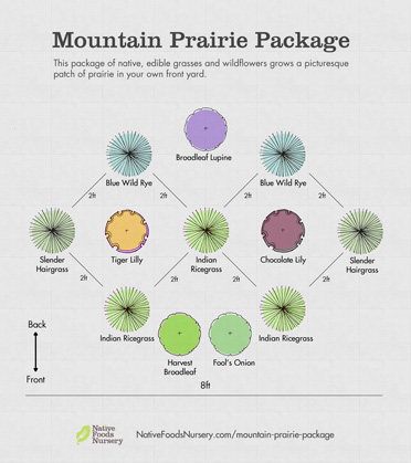 native prairie package