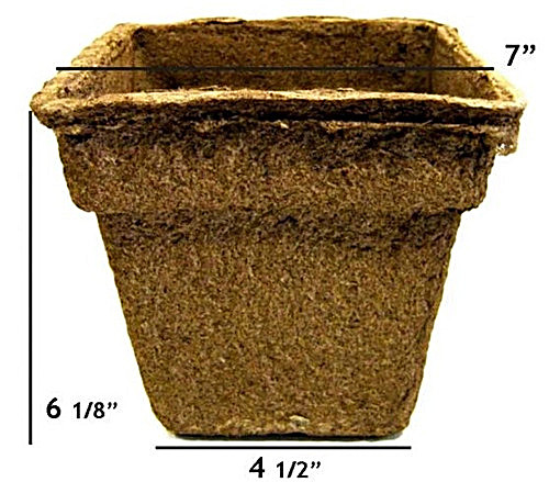 Add-on: XL ECO-POT (for 1 gallon plants) - Native Foods Nursery