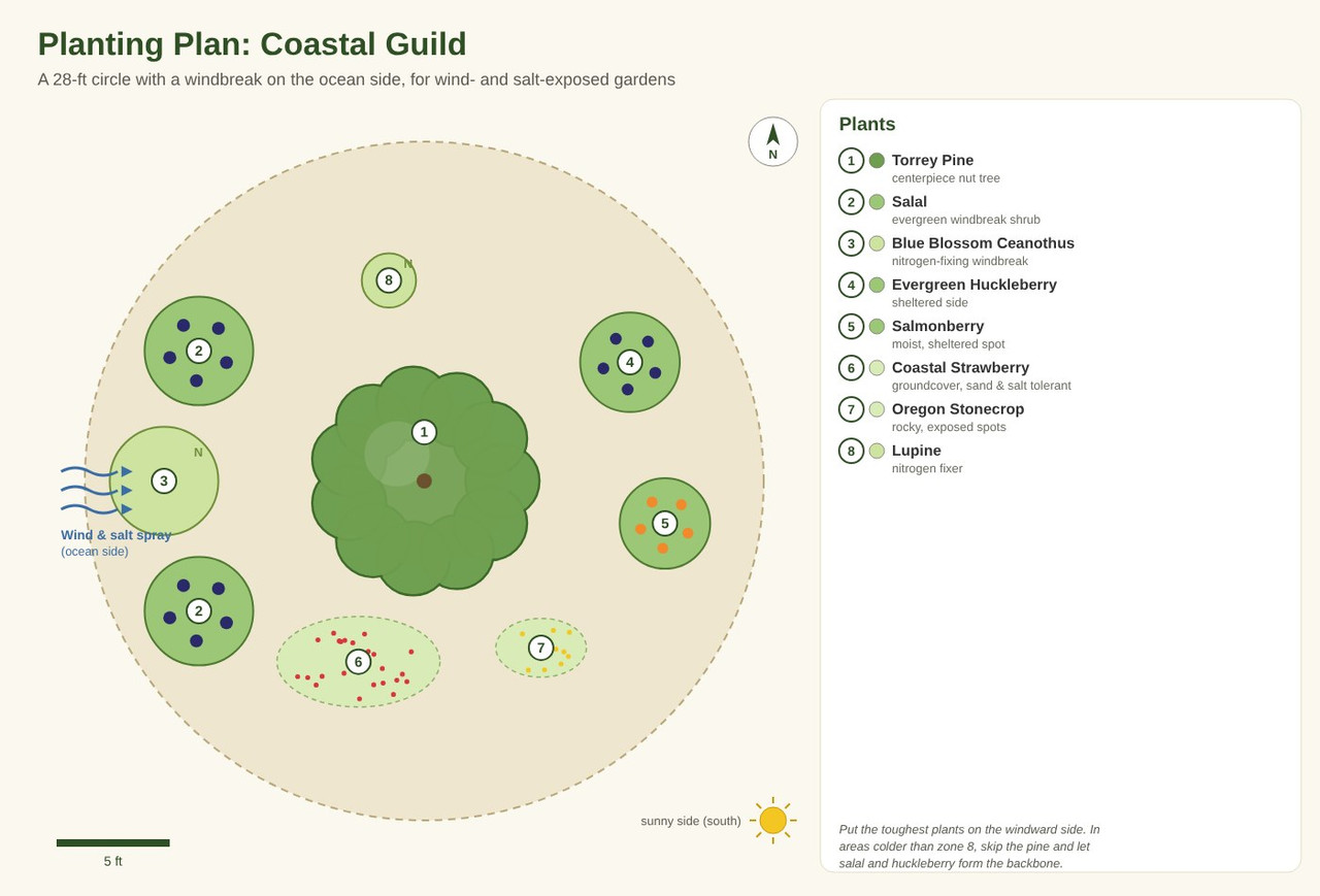 Planting plan diagram for the Coastal Guild