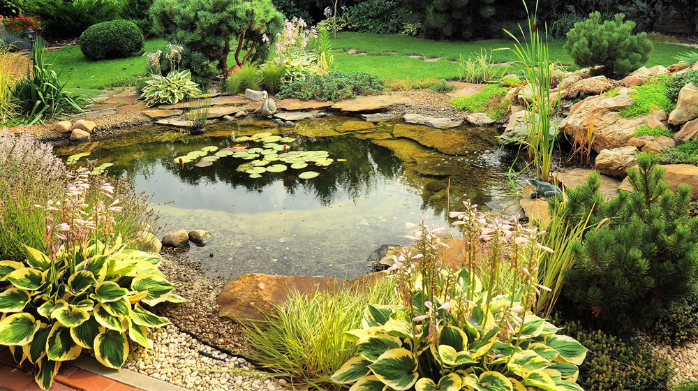 Wetland Guild Image