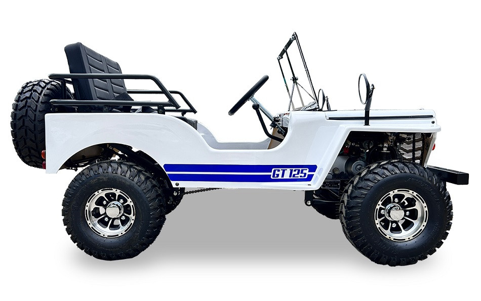 Buy Ice Bear Jeep off Road 125cc Fully Assembled - 360Powersports.com